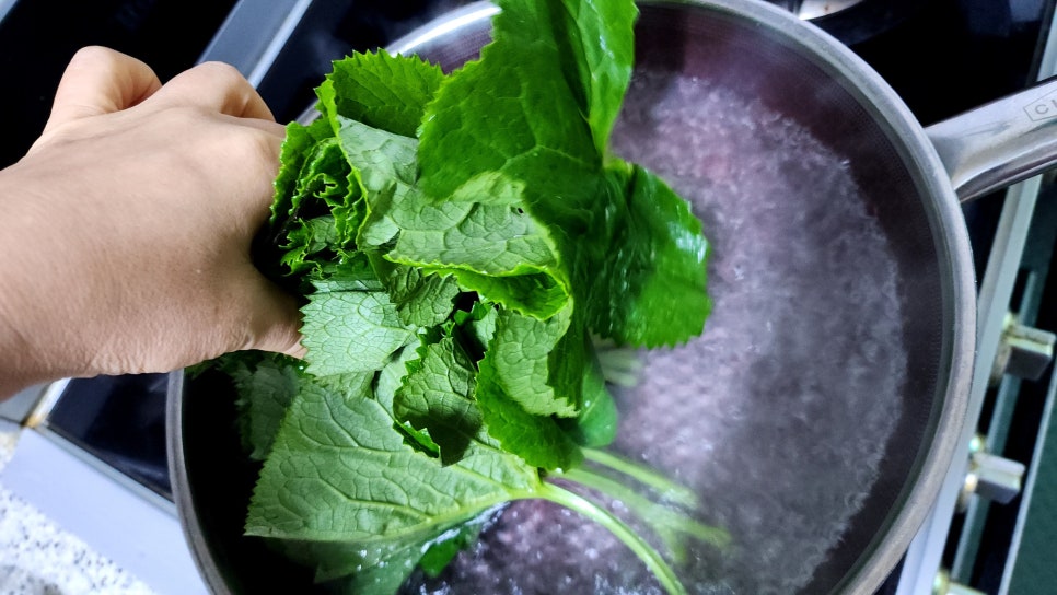 참치쌈장 만들기 풍자쌈장 참치쌈밥 곰취데치기 곰취나물쌈 피크닉도시락 메뉴