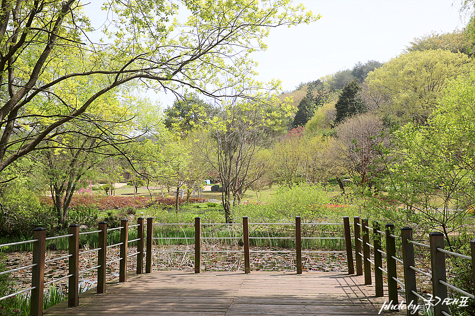 충청도 여행 안면도 갈만한곳 안면도수목원 입장료