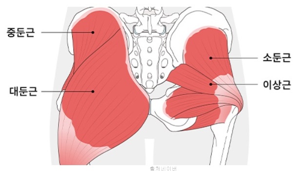 힙어브덕션 여자 남자 헬스 하체 힙운동 루틴 애플힙 힙딥 엉덩이 근육 운동