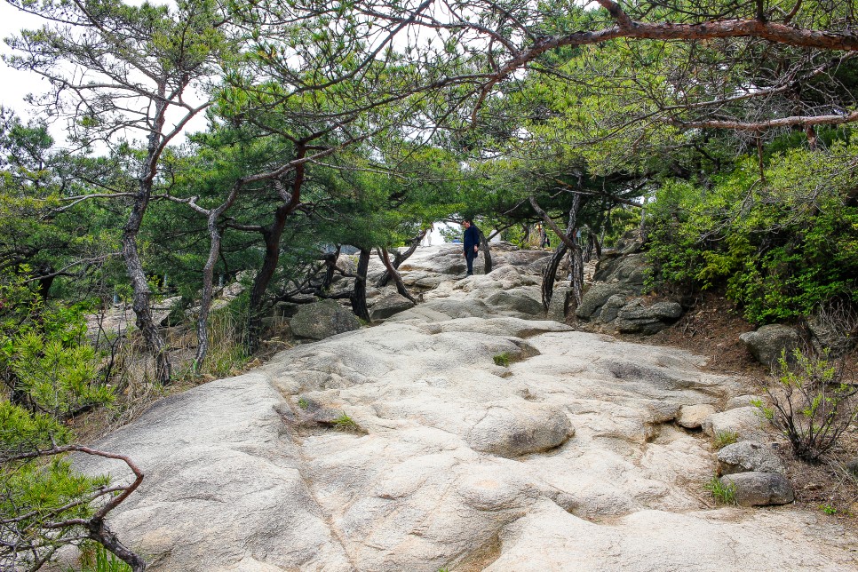 서울근교 등산 아차산 등산코스 정상 고구려대장간마을 원점코스