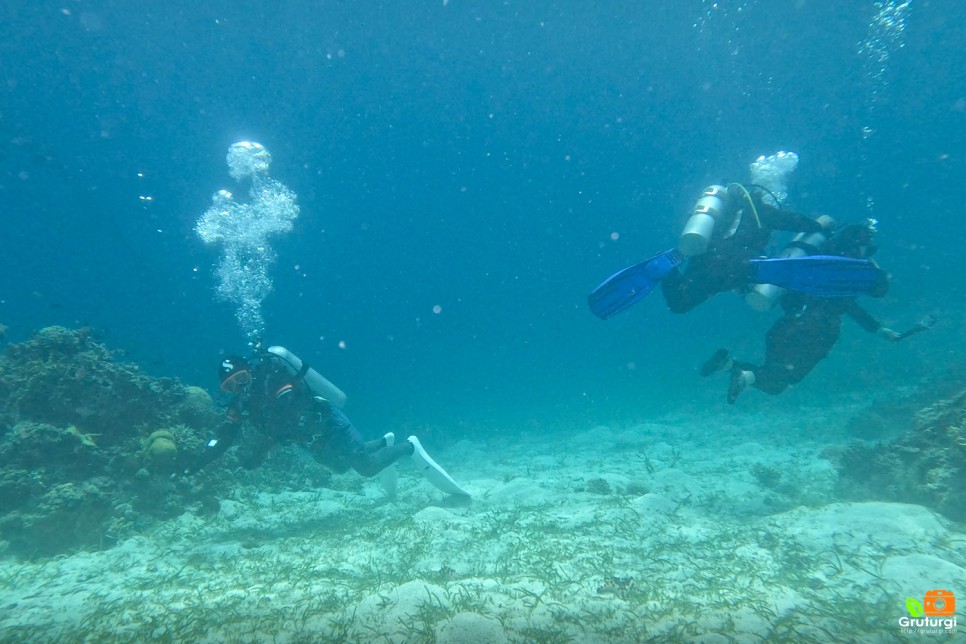 5월 해외여행 추천 보홀 스쿠버다이빙 체험