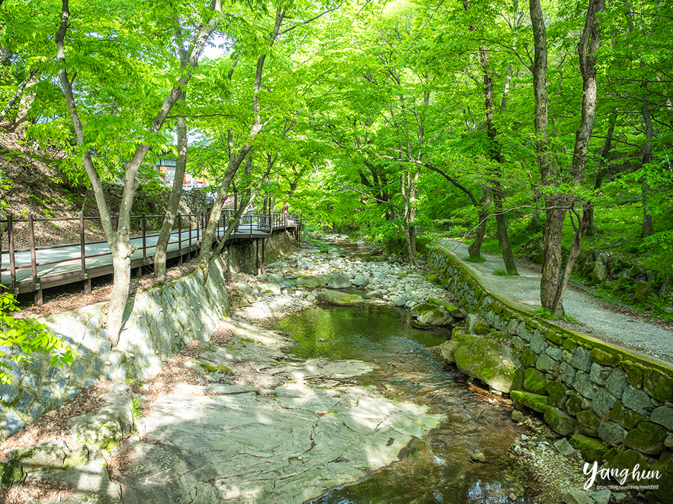 5월 가볼만한곳 공주 계룡산 동학사 계곡 전국 유명한 사찰