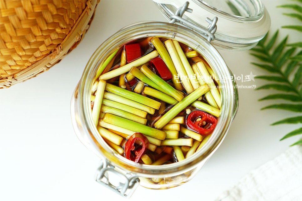 마늘쫑 장아찌 담그는법 마늘종장아찌 만드는 법