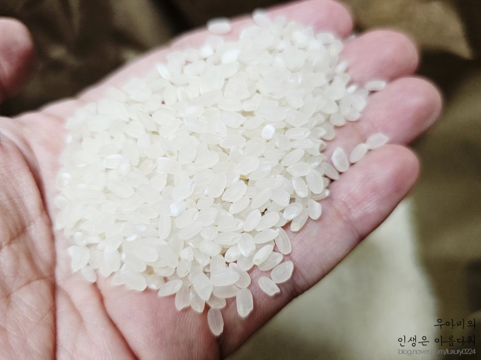 가정의 달에는 맛 좋은 쌀 팽성농협 경기미 꿈마지 선물하세요!