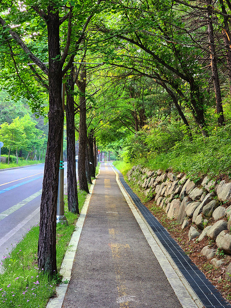 천안 가볼만한곳 천안 야경 볼거리 천안독립기념관 단풍나무숲길