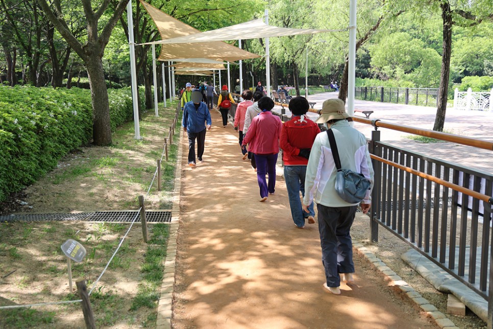인천 갈만한곳 야외 봄 데이트 주말 나들이 인천대공원 텐트 산책로 관광지