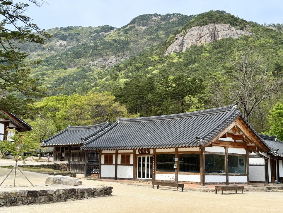 변산반도 국립공원 내소사와 전나무 숲길(4월)