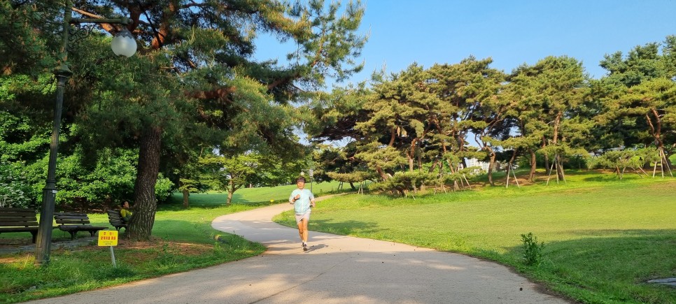 5월 9일 아침 운동 오운완 올림픽공원 나홀로나무 러닝 체중 93.1kg