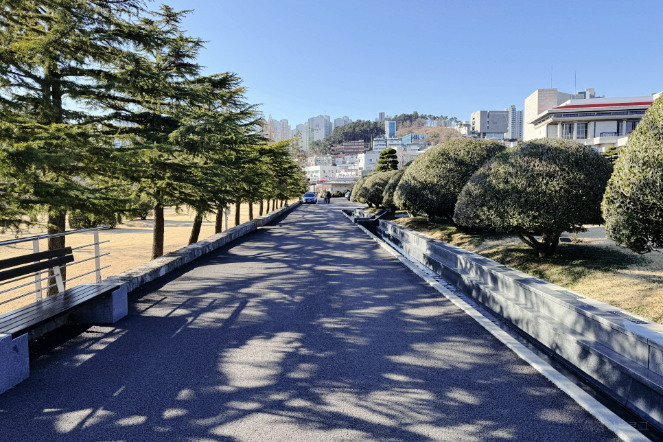 국내 조용한 여행지 부산 유엔공원 UN 기념공원 부산 산책