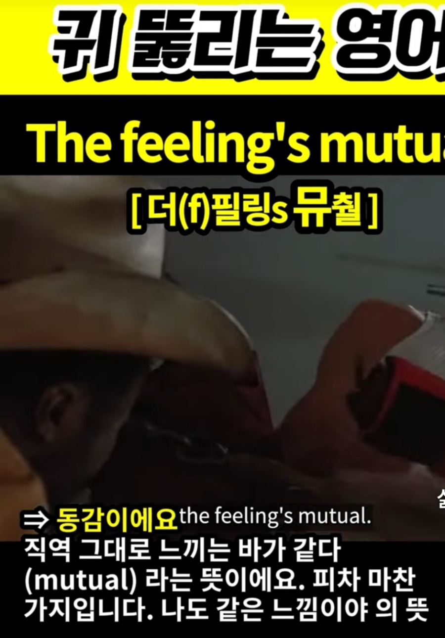 과천 할매와 귀 뚫리는 영어 동감이야 [더f 필링s 뮤춸] The feeling's mutual