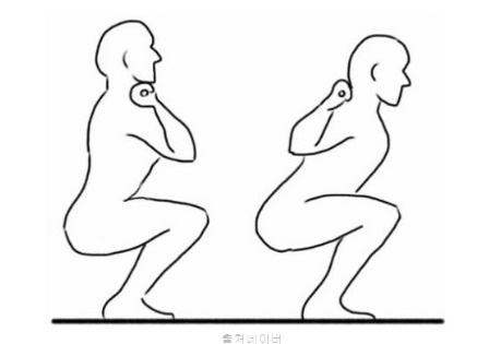 스쿼트 자세 종류 별 운동 효과 바벨 백스쿼트 덤벨 프론트스쿼트