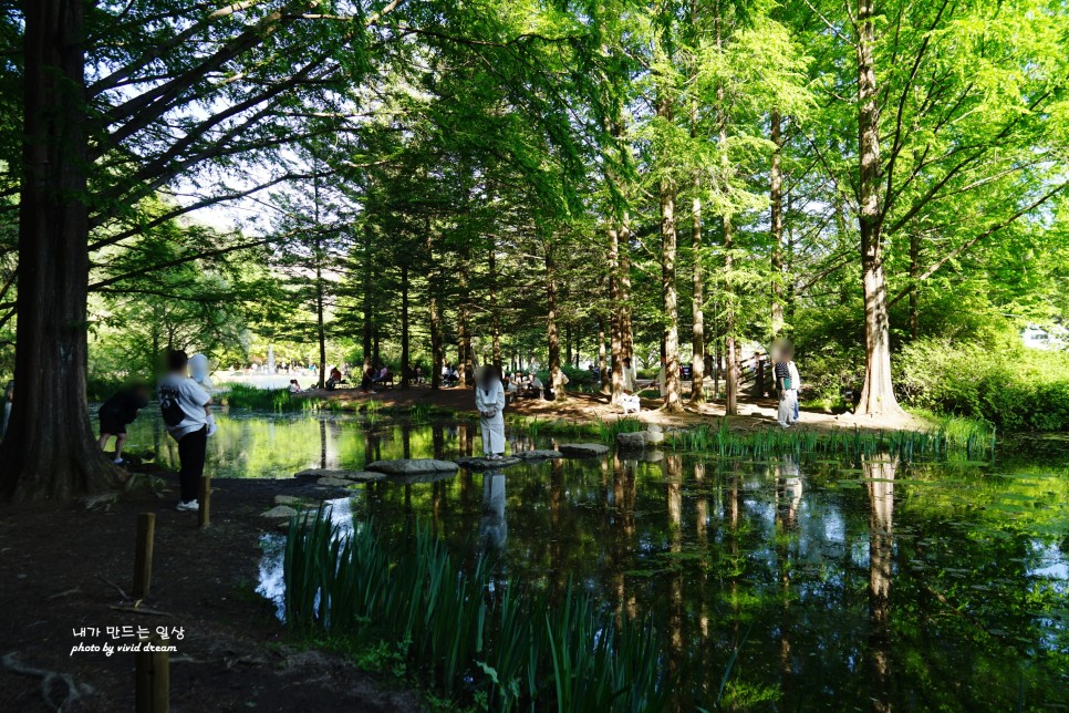 안동 여행지 사진찍기 좋은곳 비밀의 숲 낙강물길공원
