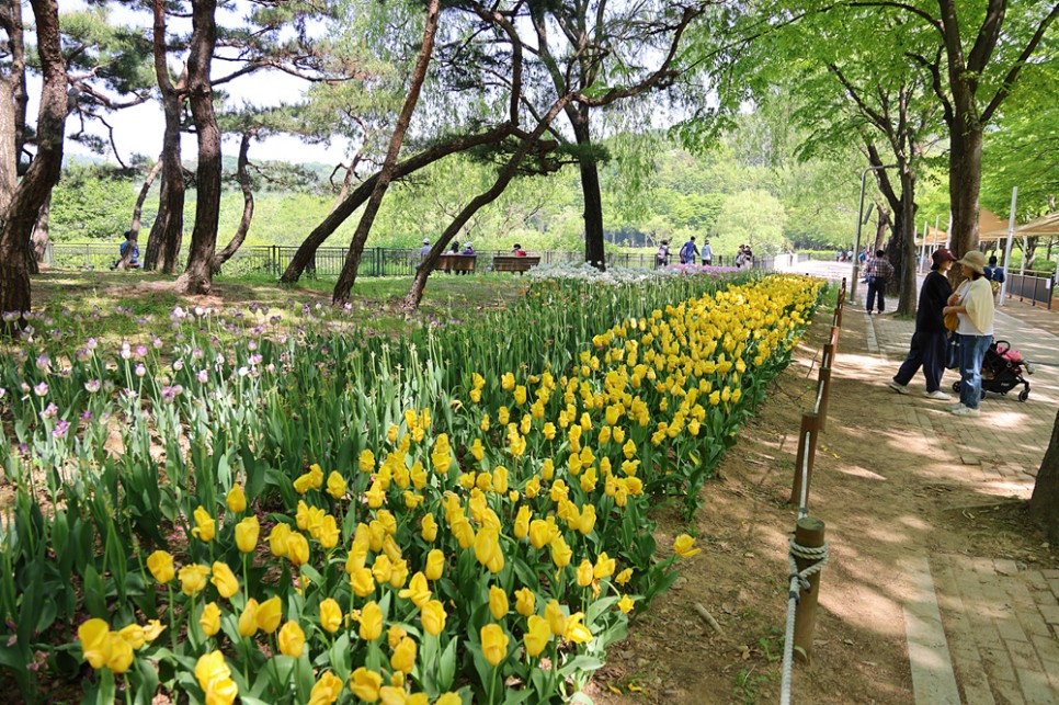 인천 갈만한곳 야외 봄 데이트 주말 나들이 인천대공원 텐트 산책로 관광지