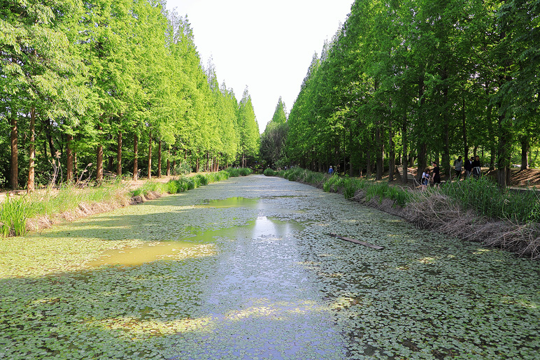 경주 천년숲정원 경주 데이트 코스 천년의숲 경북산림환경연구원