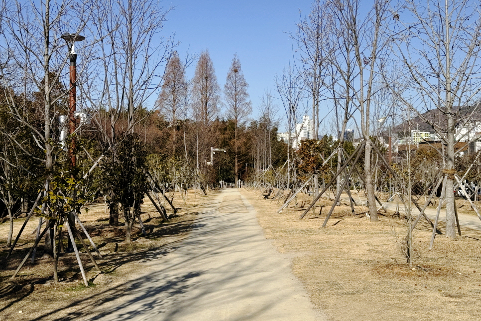 국내 조용한 여행지 부산 유엔공원 UN 기념공원 부산 산책