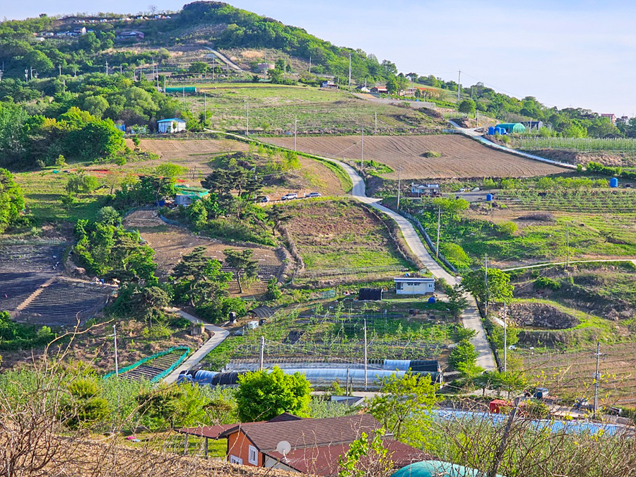 대구 가볼만한곳 군위 화산마을 화산산성 전망대 5월 여행 갈만한곳