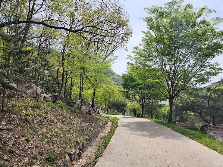 전북여행 순창 가볼만한곳 순창 용궐산 하늘길