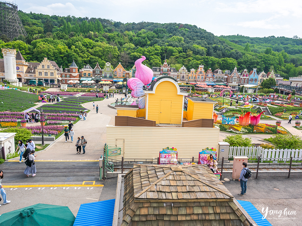 용인 여행 놀거리 용인 에버랜드 데이트 코스 볼거리
