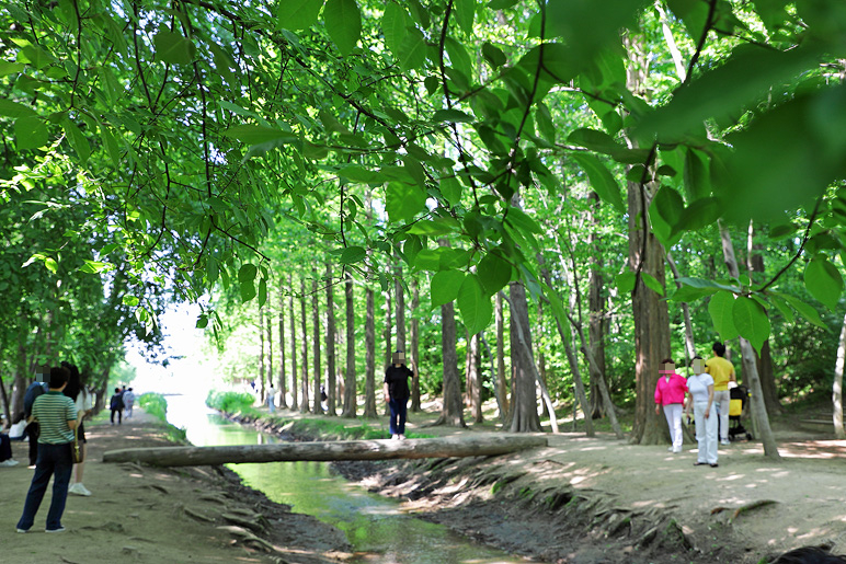 경주 천년숲정원 경주 데이트 코스 천년의숲 경북산림환경연구원