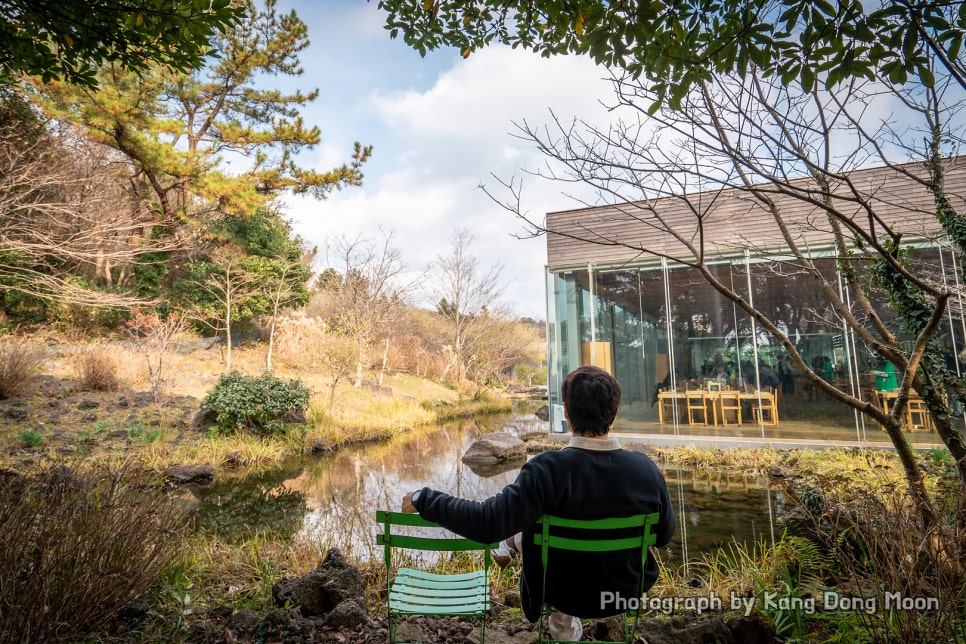 제주도 여름 가족여행 코스 제주도 서쪽 여행 코스 제주 오설록 티뮤지엄 기념품