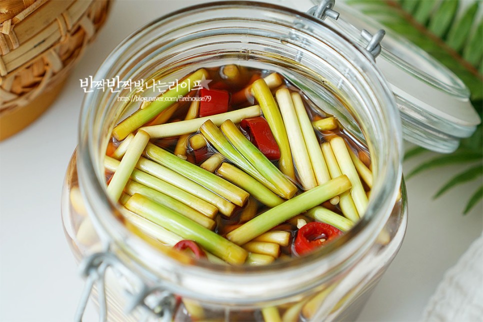 마늘쫑 장아찌 담그는법 마늘종장아찌 만드는 법