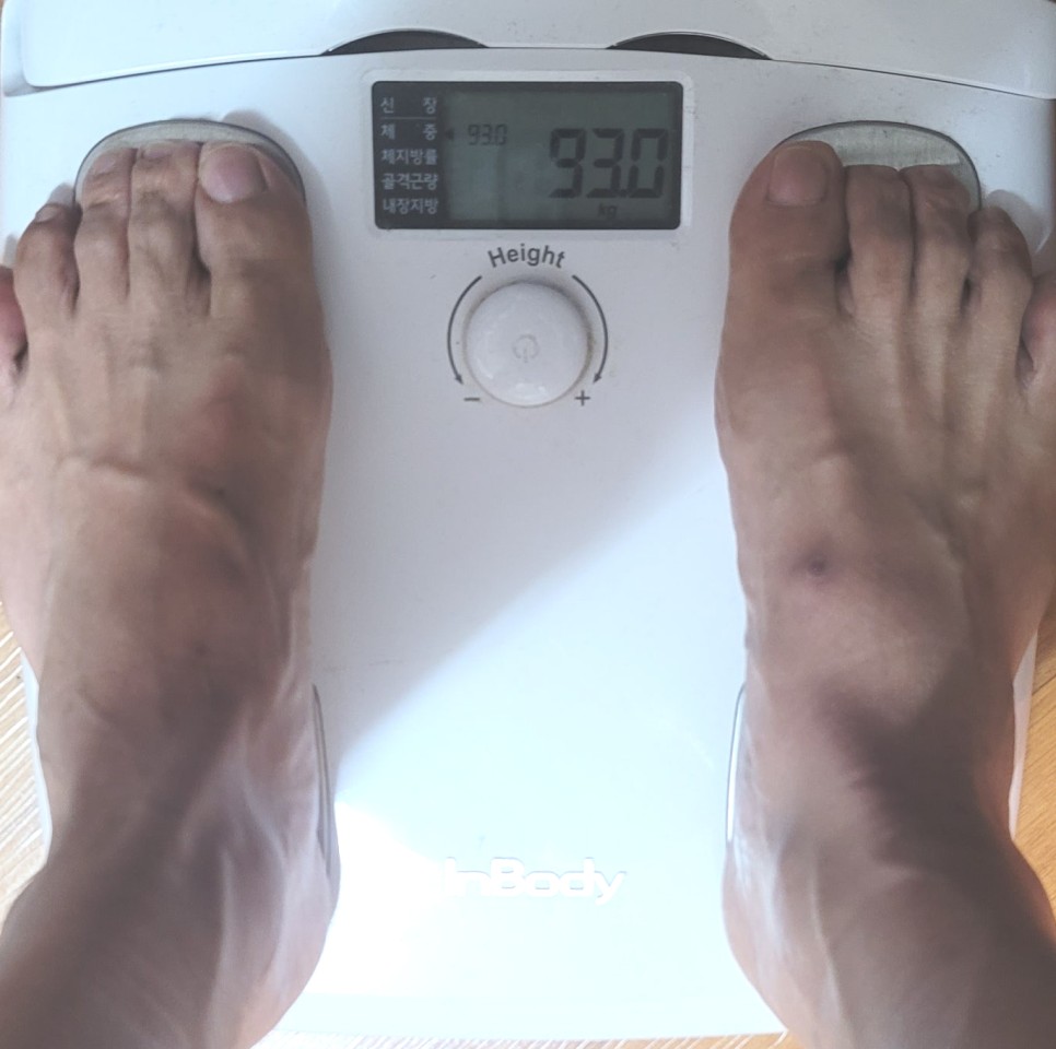 달리기 유산소 러닝 다이어트 쉽지 않아 체중 93kg - 인바디