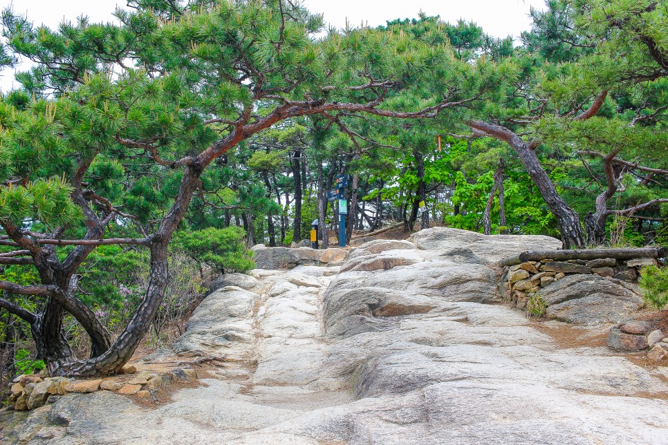 서울근교 등산 아차산 등산코스 정상 고구려대장간마을 원점코스