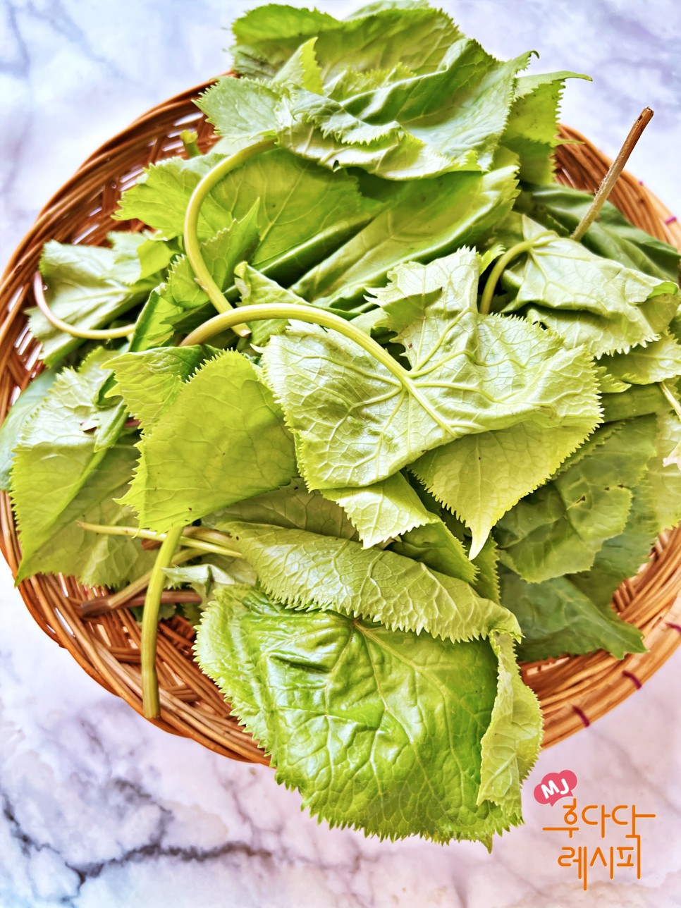 곰취장아찌 만드는법 곰취나물 장아찌 간장 절임 곰취요리