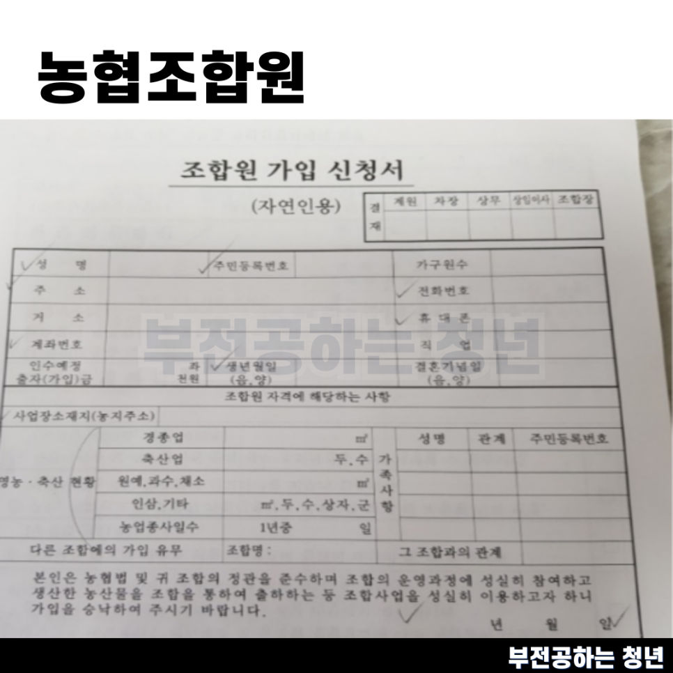 24년 농협조합원 자격 조건 혜택 출자금 가입방법 정리해보자