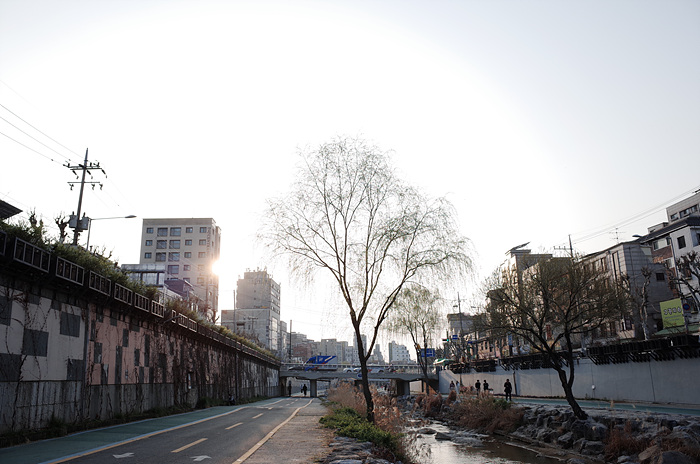 도림천 산책 (서울대벤처타운역에서 신대방역까지)