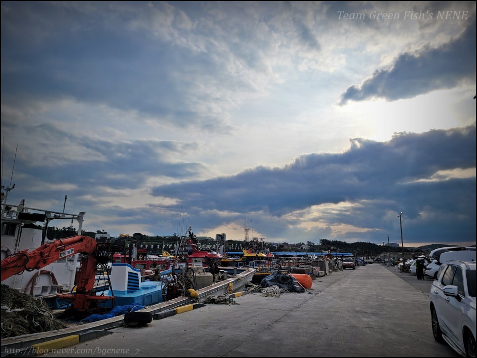 24.05.06 - 경북 포항 영일만항 라이징호 선상낚시 (포항 북부권 (오도~조사항), 신항만권 볼락 낚시)