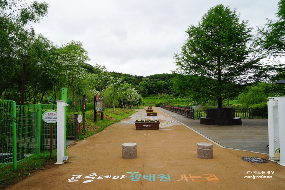 경북 상주 여행 아이와 가볼만한곳 함창명주테마파크공원 명주박물관 명주정원