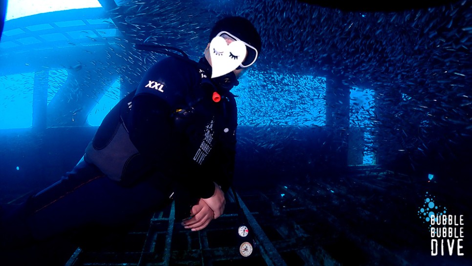 푸켓 체험다이빙 첫 스쿠버 다이빙은 버블버블다이브 한인 강사