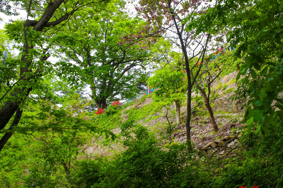 서울근교 등산 아차산 등산코스 정상 고구려대장간마을 원점코스