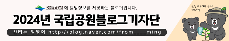 변산반도 국립공원 내소사와 전나무 숲길(4월)