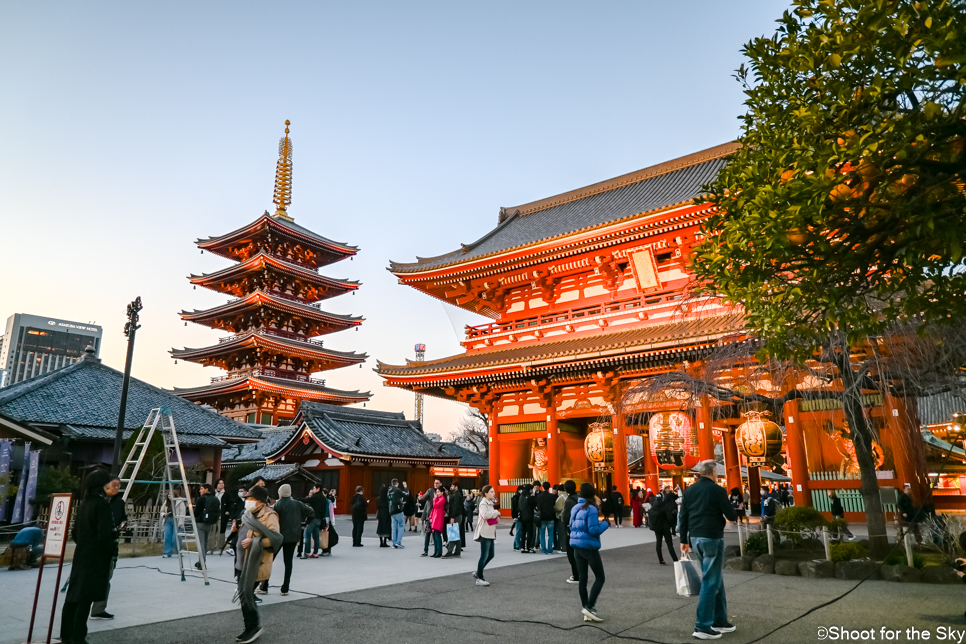 일본 도쿄 여행 일정 도쿄 2박3일 해외여행 경비 가볼만한곳