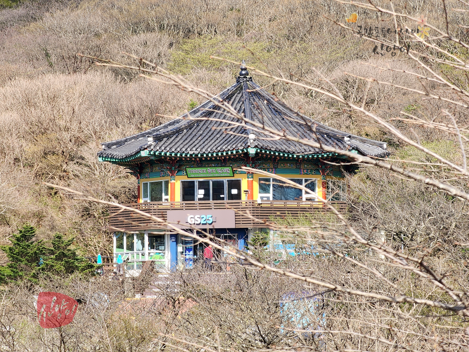 제주도 드라이브 코스 제주 1100도로 한라산 차로 제주도1100고지 주차