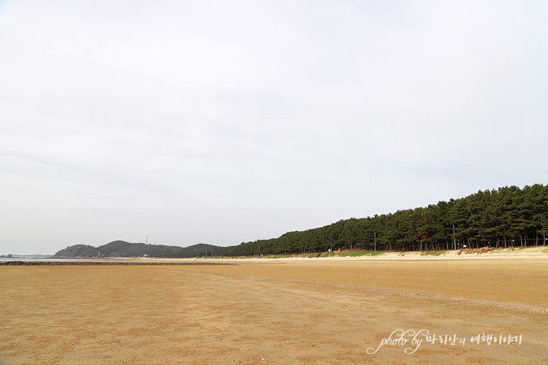 밧개해수욕장 안면해수욕장 태안 안면도 바다 여행