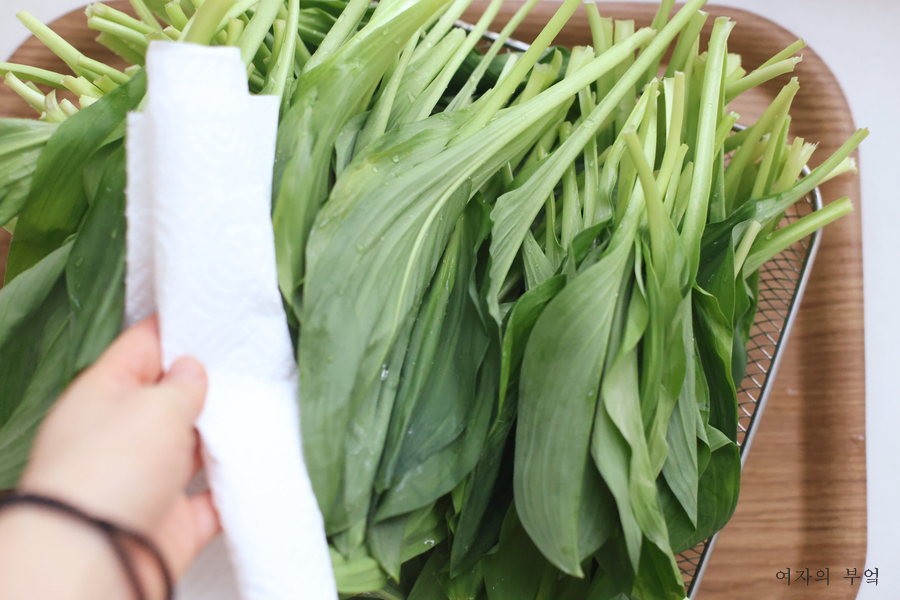 명이나물장아찌 담그는법 만들기 명이장아찌 만드는법 레시피