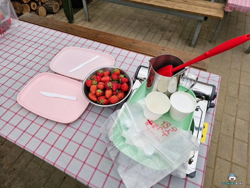 율봄식물원에서 가족과 함께 즐기는 딸기체험 동물먹이주기 레일썰매 ! 그리고 워터젤리만들기 체험까지 경기도 광주에서