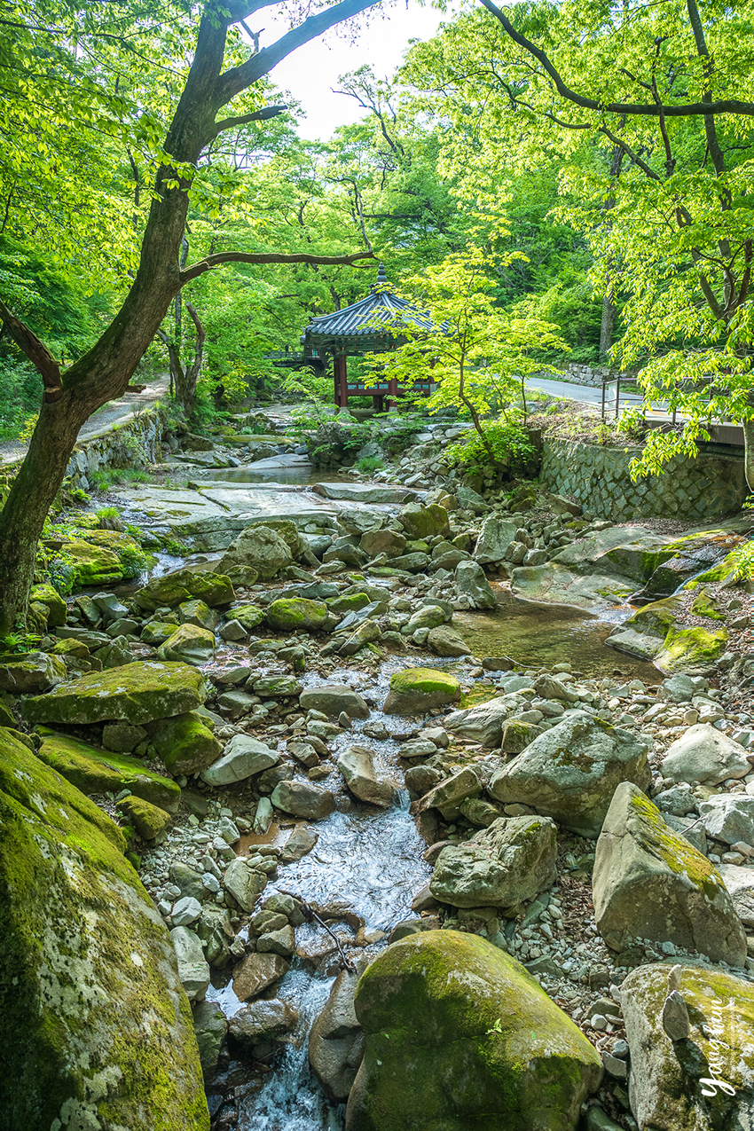 5월 가볼만한곳 공주 계룡산 동학사 계곡 전국 유명한 사찰