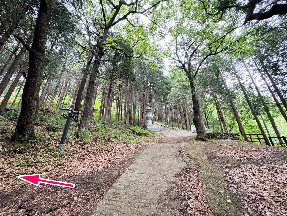 창원 진해 전망 좋은 산, 장복산~덕주봉 능선 산행