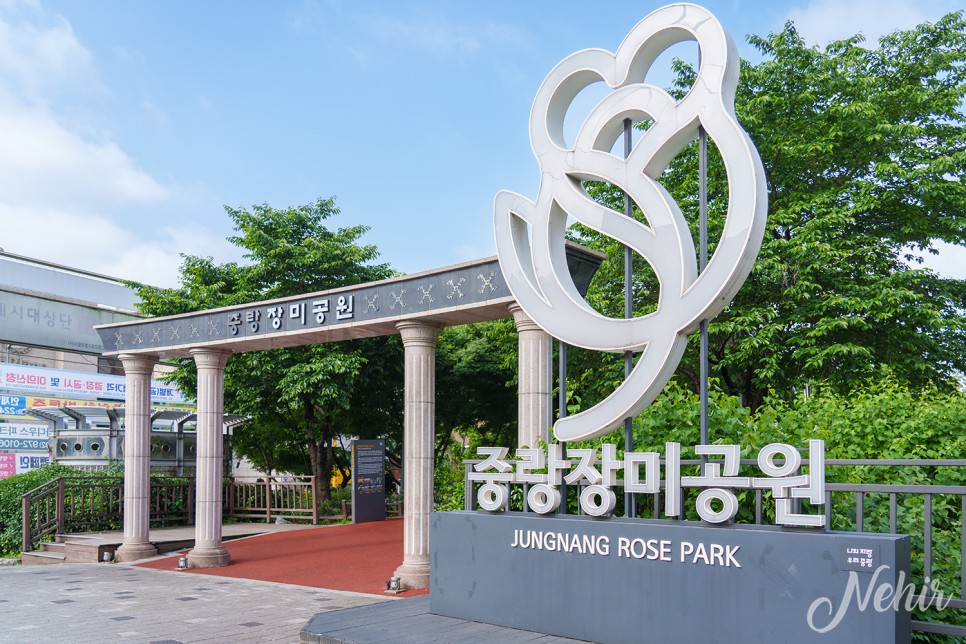 2024 서울 장미축제 중랑천 장미공원 실시간