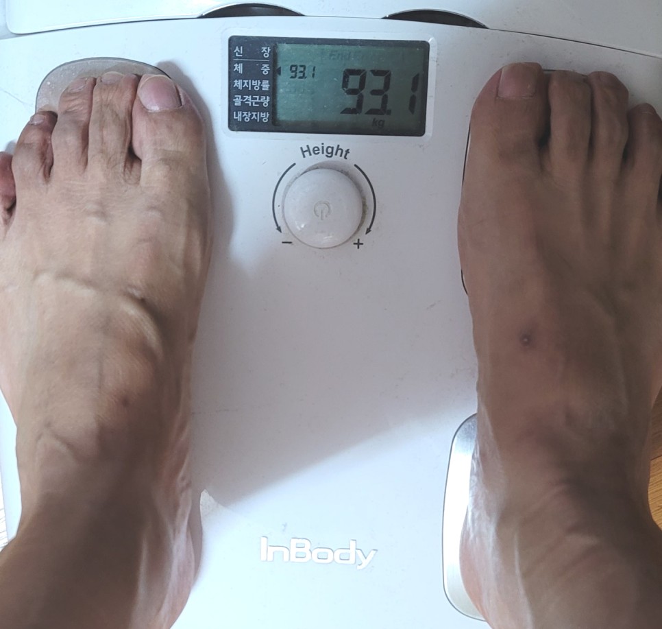 5월 12일 체중 공개 다이어트 5일차 남한산성 트레일러닝 - 인바디 93.1kg