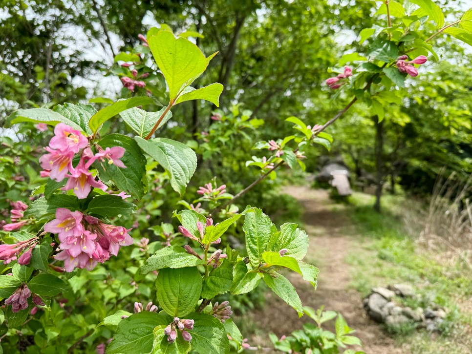 창원 진해 전망 좋은 산, 장복산~덕주봉 능선 산행