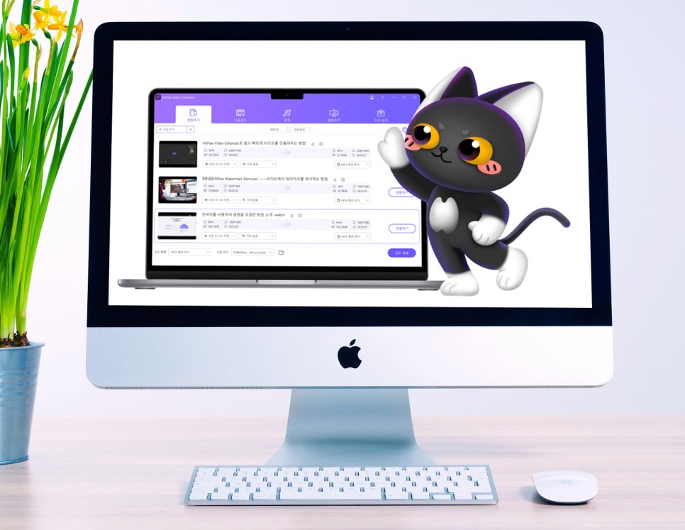 동영상 파일 mp4 변환, 편리한 HitPaw Video Converter