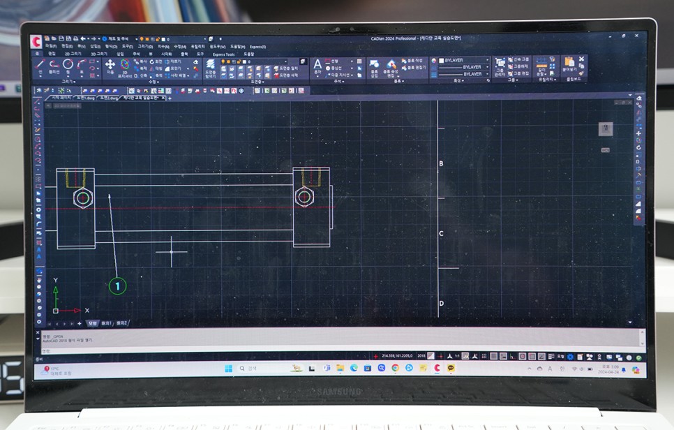 오토캐드 단속, AutoCAD 감사 라이선스 대안, 캐디안 CADian