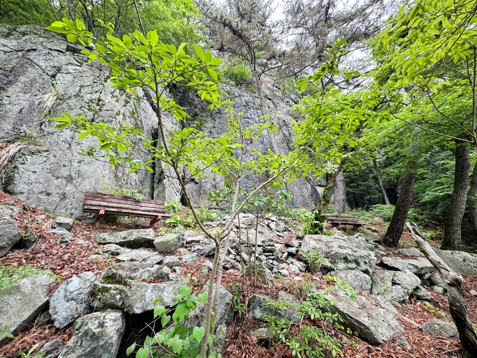 창원 진해 전망 좋은 산, 장복산~덕주봉 능선 산행