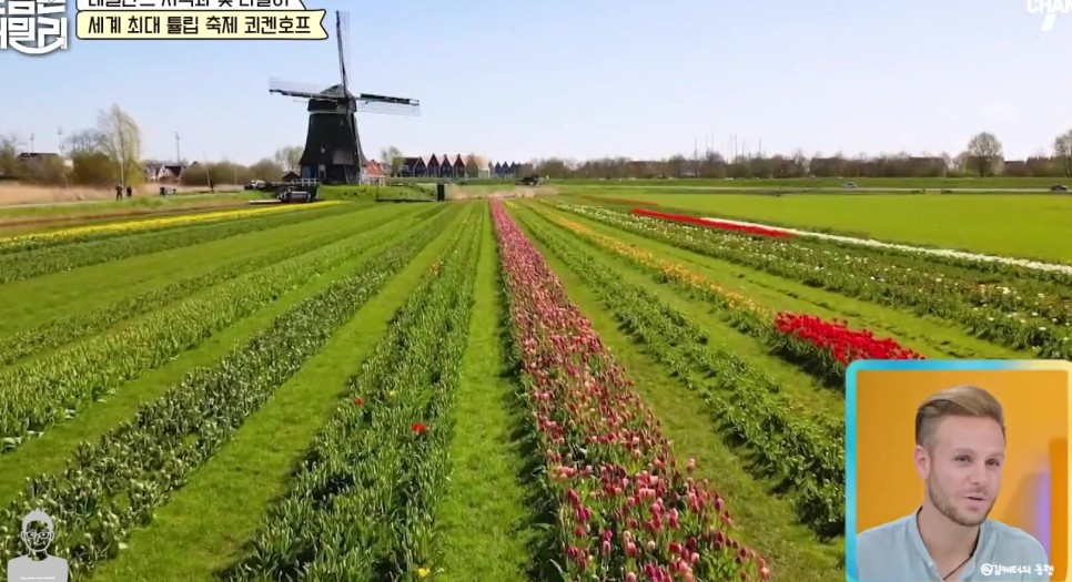 네덜란드 튤립 축제 쾨켄호프 꽃말  위치 예약 유명한 이유 유래 2024 주소 운영시간 전화번호