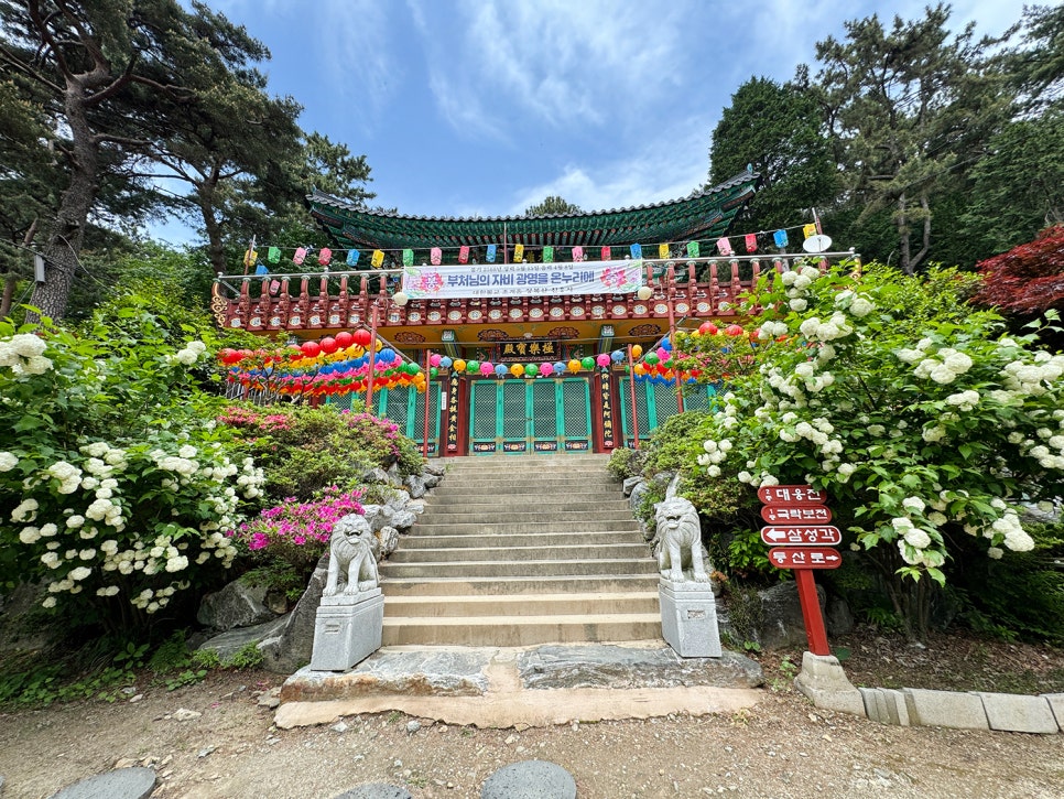 창원 진해 전망 좋은 산, 장복산~덕주봉 능선 산행